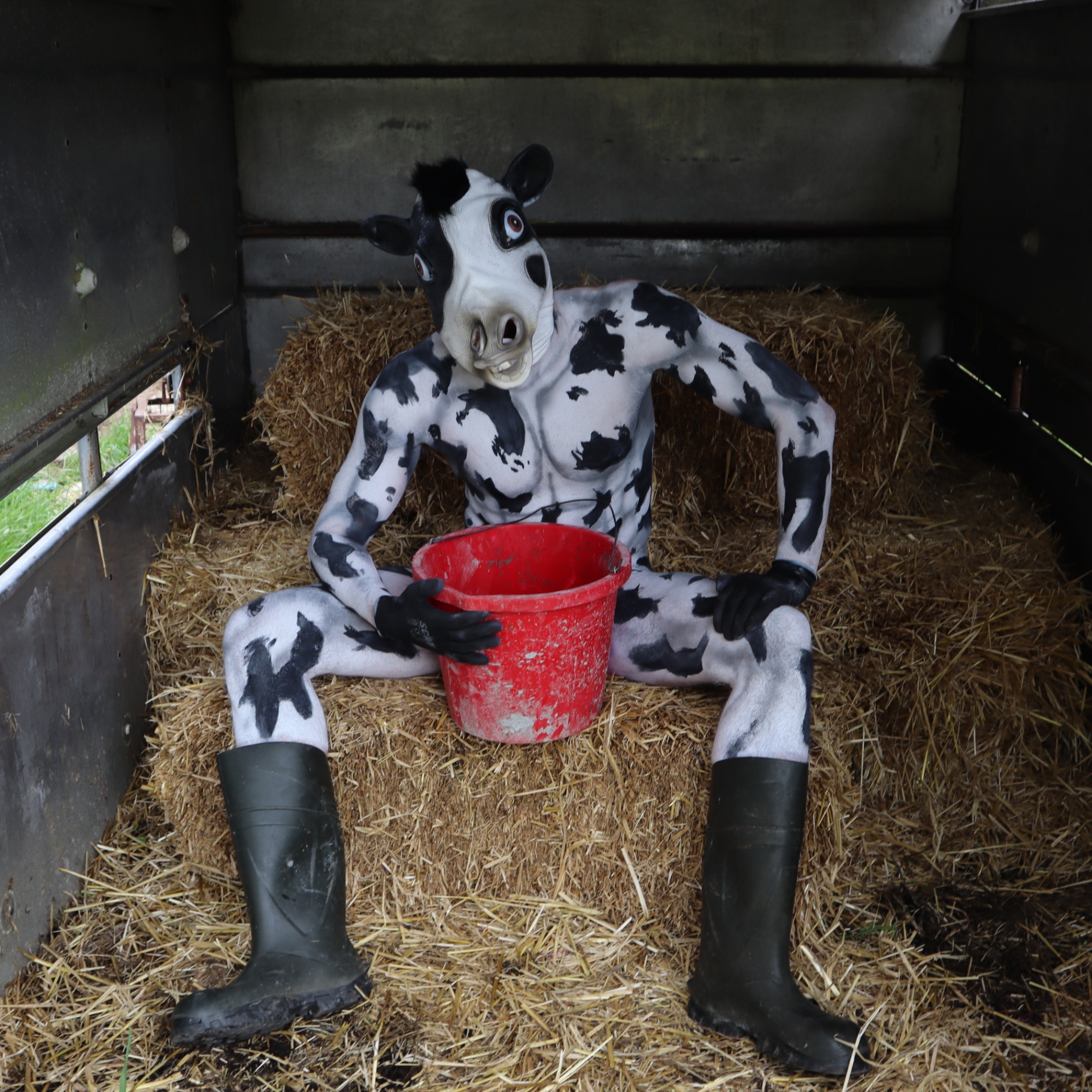 COW